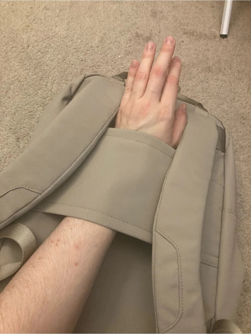 Target Soft Taupe Backpack with Gold Hardware